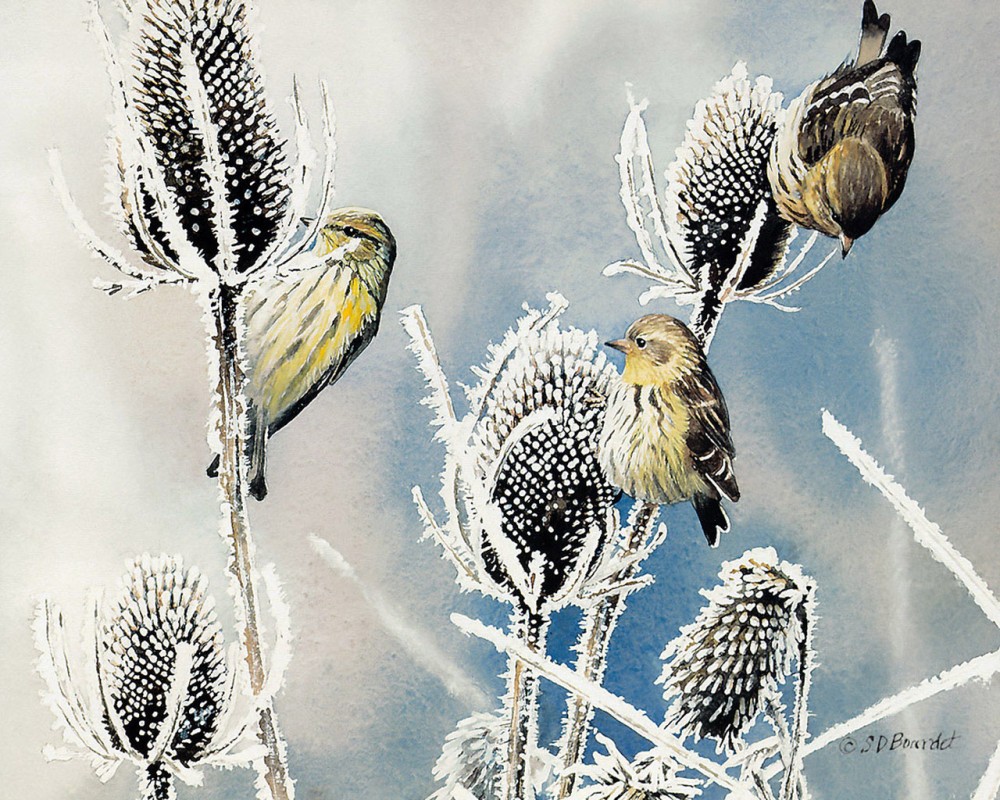Little birdies картина