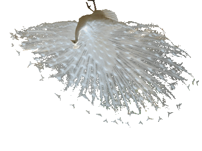 4104862bc3784d21fbe20bc323389bc9