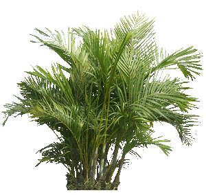 fae6ae6d7b147d6239bf2b3f397a8aae