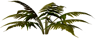 78fc375fd670aabf60a715dd8115d33e