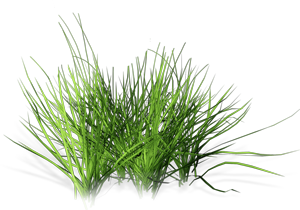 773fcc7d08293adfb27aee20c3789586