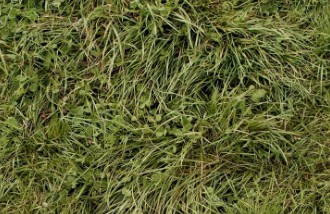 96c7af0e867cbad7716c89585d63c34b