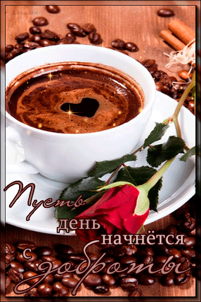 0_1785eb_75a8d9d3_orig