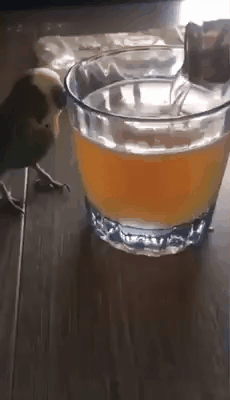 a3b3ce58-6bdb-44c0-a956-7b5c5014dfc5