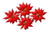 _12_arnusha