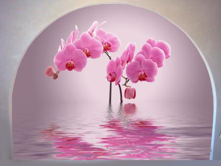 77b144c900237527f81b7bf2ea82d2e0