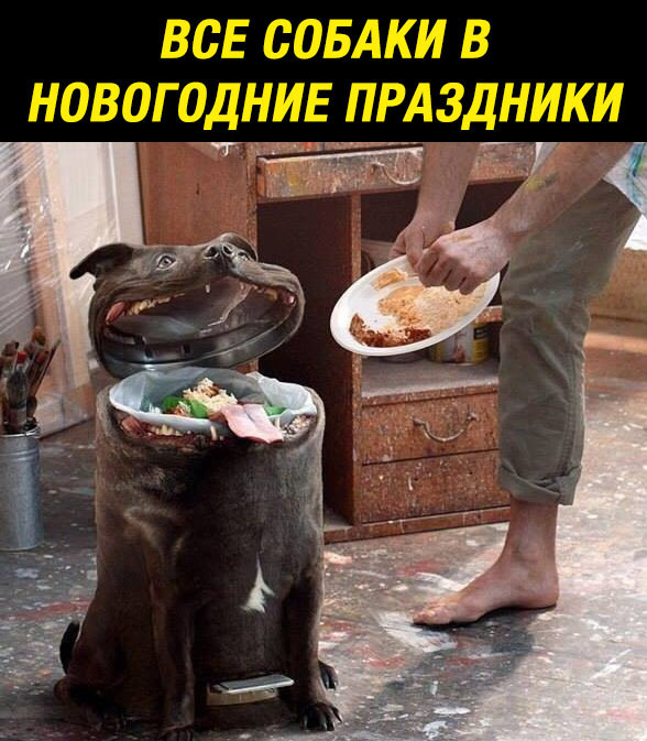 y7zyuKrxVWU