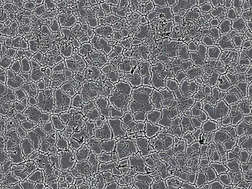 588223915f898159bc5aefef0-min