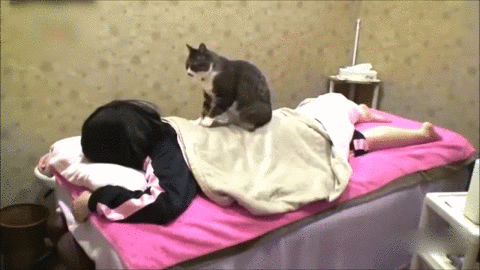 buildgifcom-1083941-1519215577