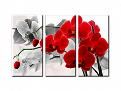 513f91d0a25765a85bb83c5d95dc3e3d