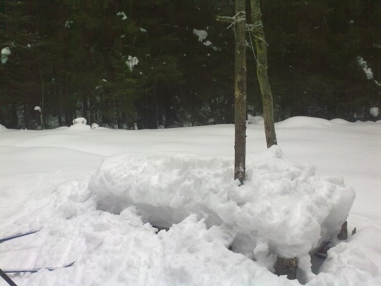 Угадай что это а потом посмотри на задний план в увеличенном виде обводить не стал