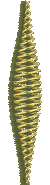 1_2_5