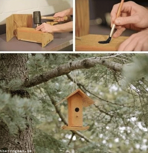 tumblr_lhymj4lE9C1qzrlhgo1_r1_500