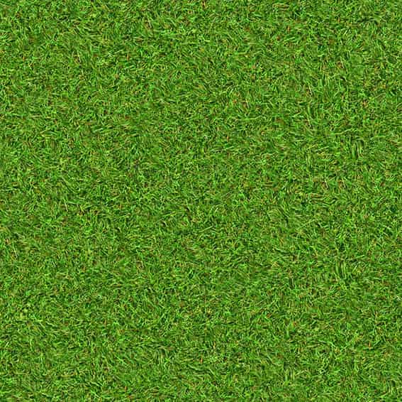 grass-min