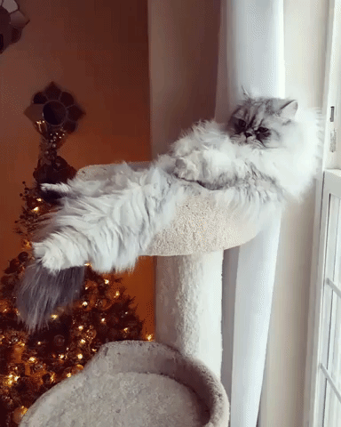 Vot_u_kogo_zhizn_v_kayf