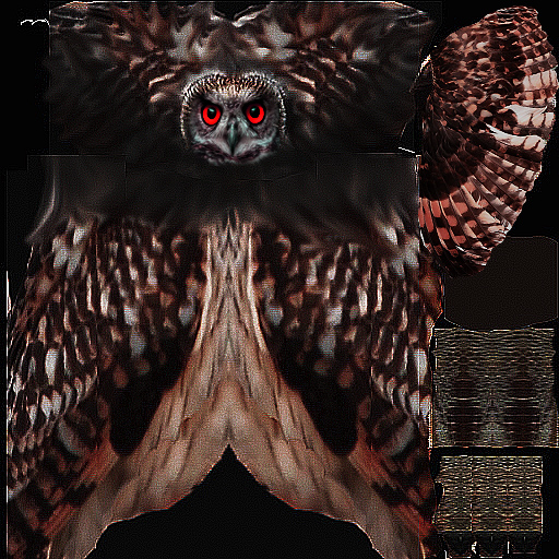Owl_1