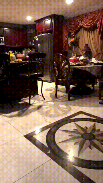 dog_obman
