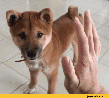 3ed6cdd523c9b91d79cc73b1fe43abb0_187945_1549659373