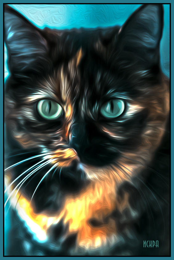 котик