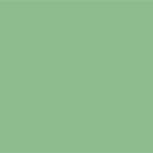Темное зеленое море	#8FBC8F	143	188	143