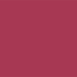 Умеренный пурпурно-красный	#A73853	167	56	83