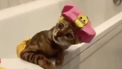 giphy_yapfiles.ru