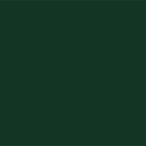 Фталоцианиновый зеленый	#123524	18	53	36