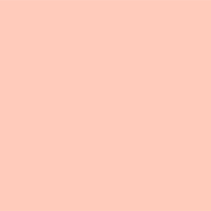 Циннвальдитово-розовый	#FFCBBB	255	203	187