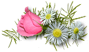 _arnusha