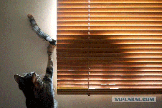 post-3-13006252936041_new