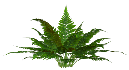 0_19d08d_2d8f8e30_orig