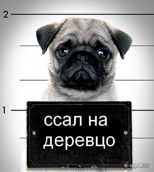 86.72K 00015AE7 00D05CBF5F0D 57F0B80C H00CVS7TBIYW