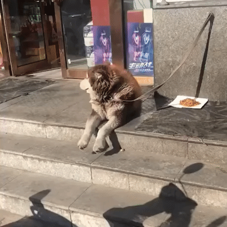 BumazhnySamoletik (1)