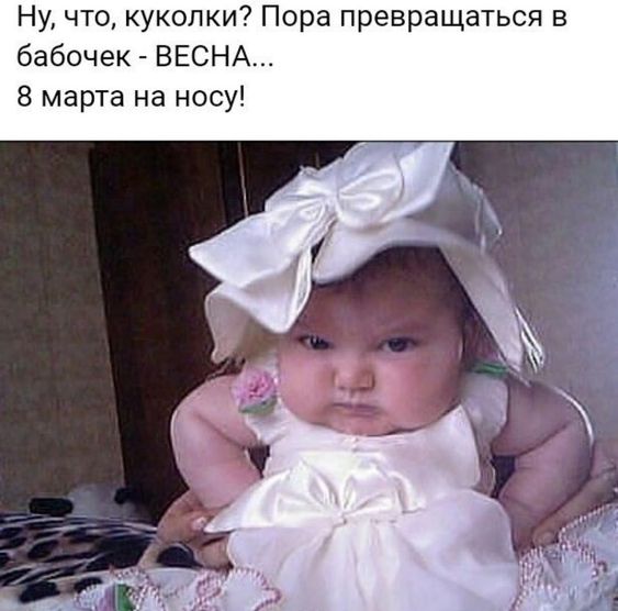 159f28abd43bdd806df5b4a79d542410