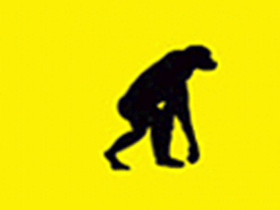 Evolution