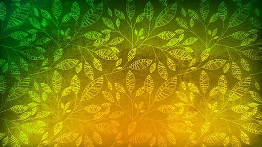 dghh-creative-fans-14796589-1920-1080 (1)