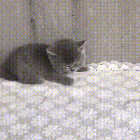 монстр
