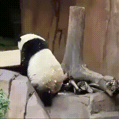 1552549909287377704_240x240