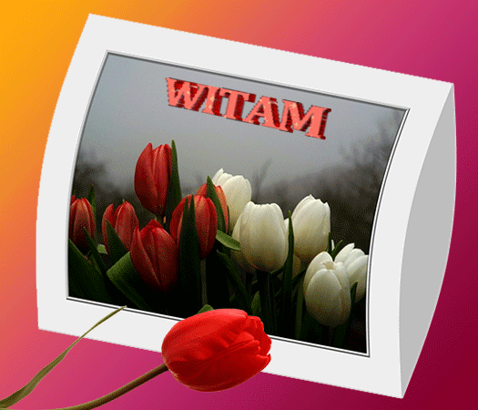 zk-witam