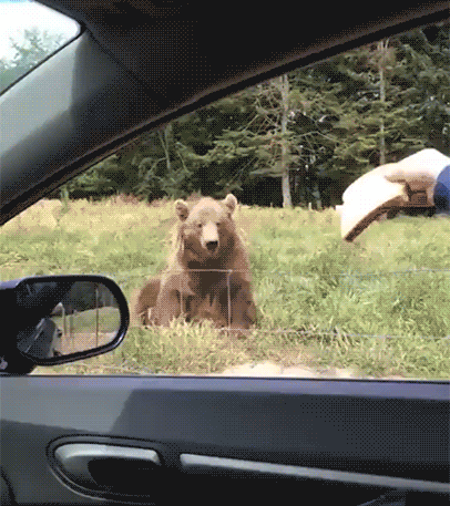 fe87d0be04ff30c44208ad93e89d3d44_187945_1552930367