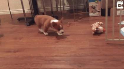 b87a0702979c02183ad6cb1d572ee73b_187945_1553719742