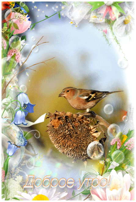 ezgif-4-23f4811b0434