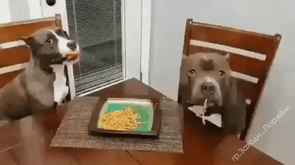 f67f6e6dcf42a9dcb4d946b3a1345806_266146_1554140551