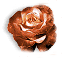 _7_arnusha