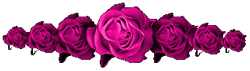 _7_arnusha