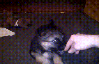 c6fa69a8441beffea50296e877d1da10_187945_1555364092