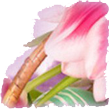 _1_arnusha