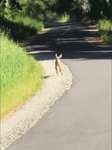 40467930252653_mos_09