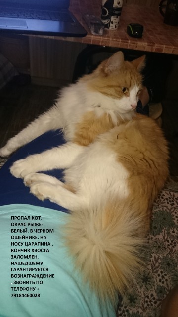 Мадан