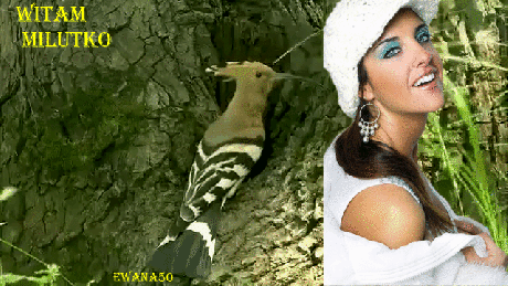 oie_CNtvqrZogjks